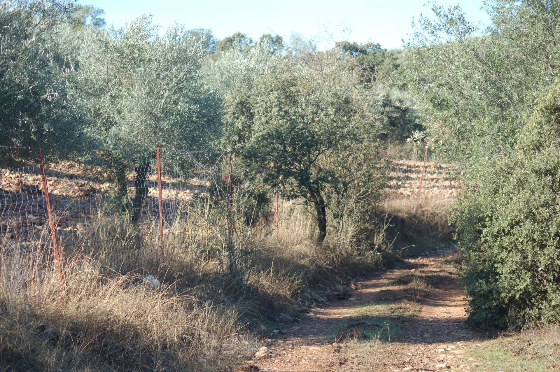 Country house for sale in Belvís de la Jara