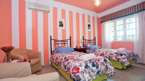 Photo 5 of Houses for rent in La Paz, Alcalá de Guadaira