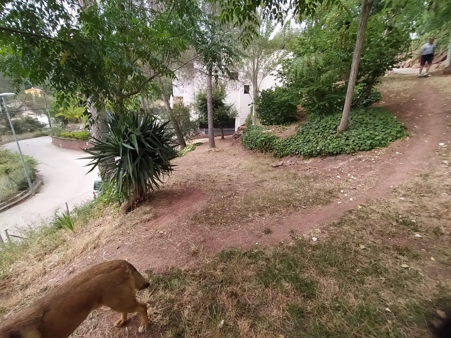 Terreny residencial en venda a Corbera de Llobregat, imagen 5
