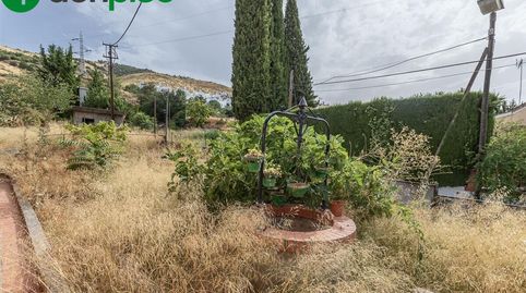 Photo 3 of Houses for sale in Carretera de la Sierra, Lancha del Genil, Granada Capital