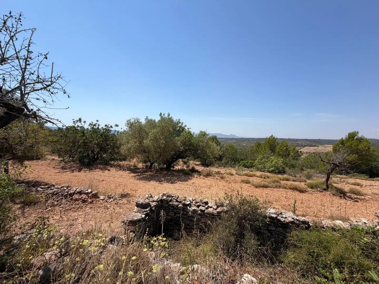 Terreny rústic en venda a Sierra Engarcerán, imagen 5
