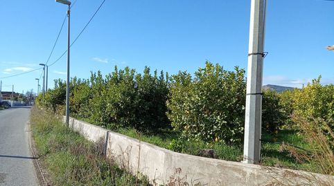 Finca Rústica  El AlamilloLibrilla Murcia, immagine 3