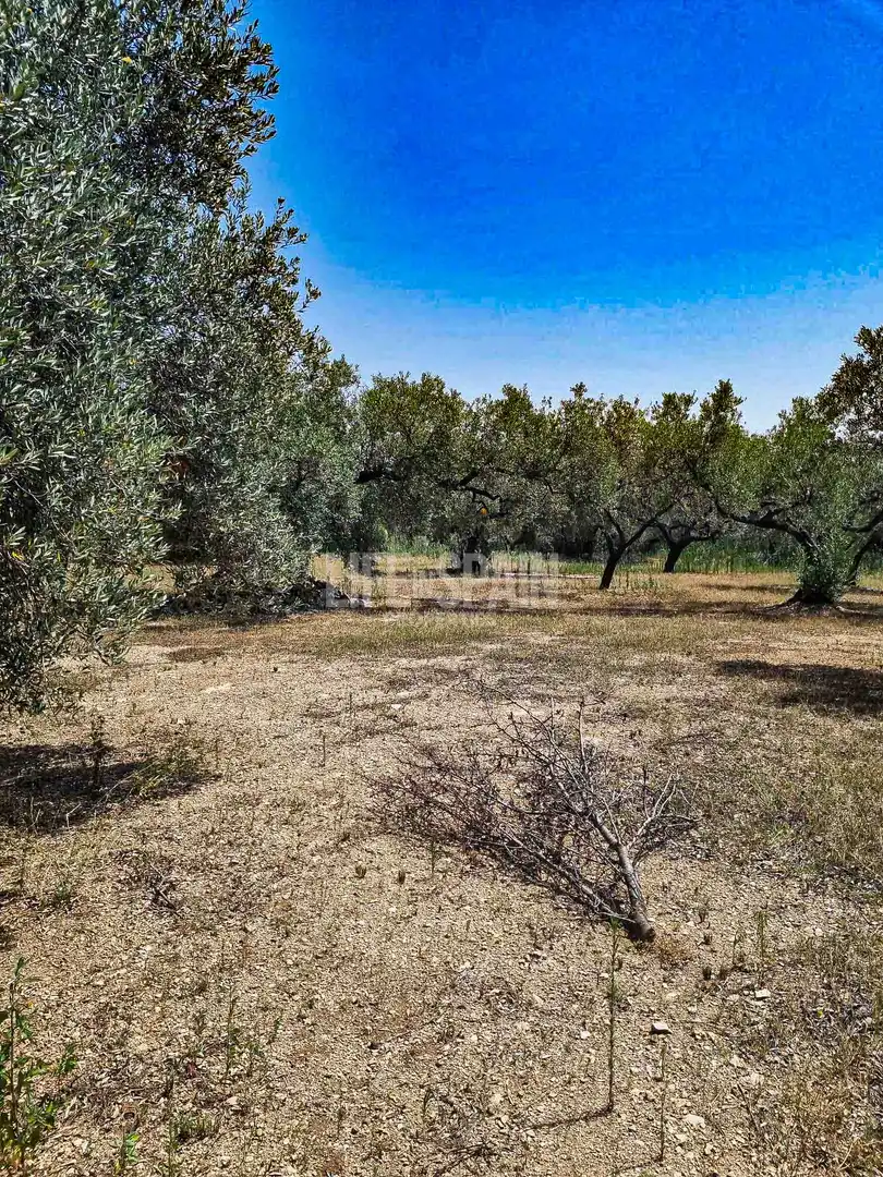 Maison rustique à vendre à Roquetes, imagen 13