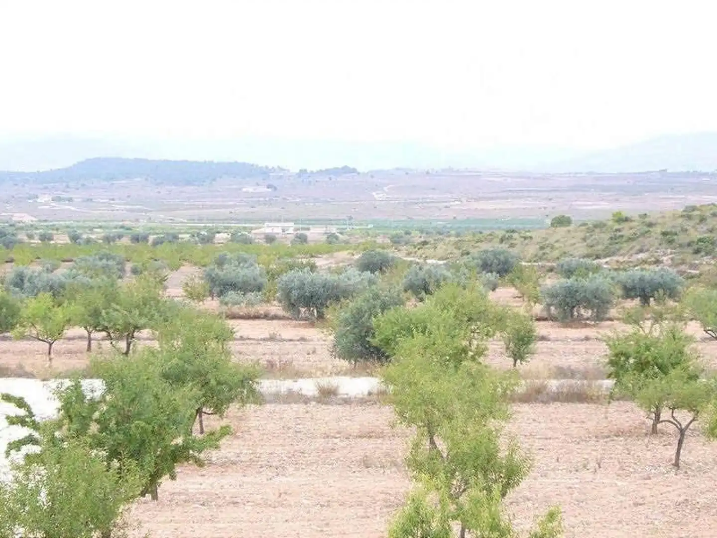 Villa zum Verkauf in El Pinós / Pinoso, imagen 22