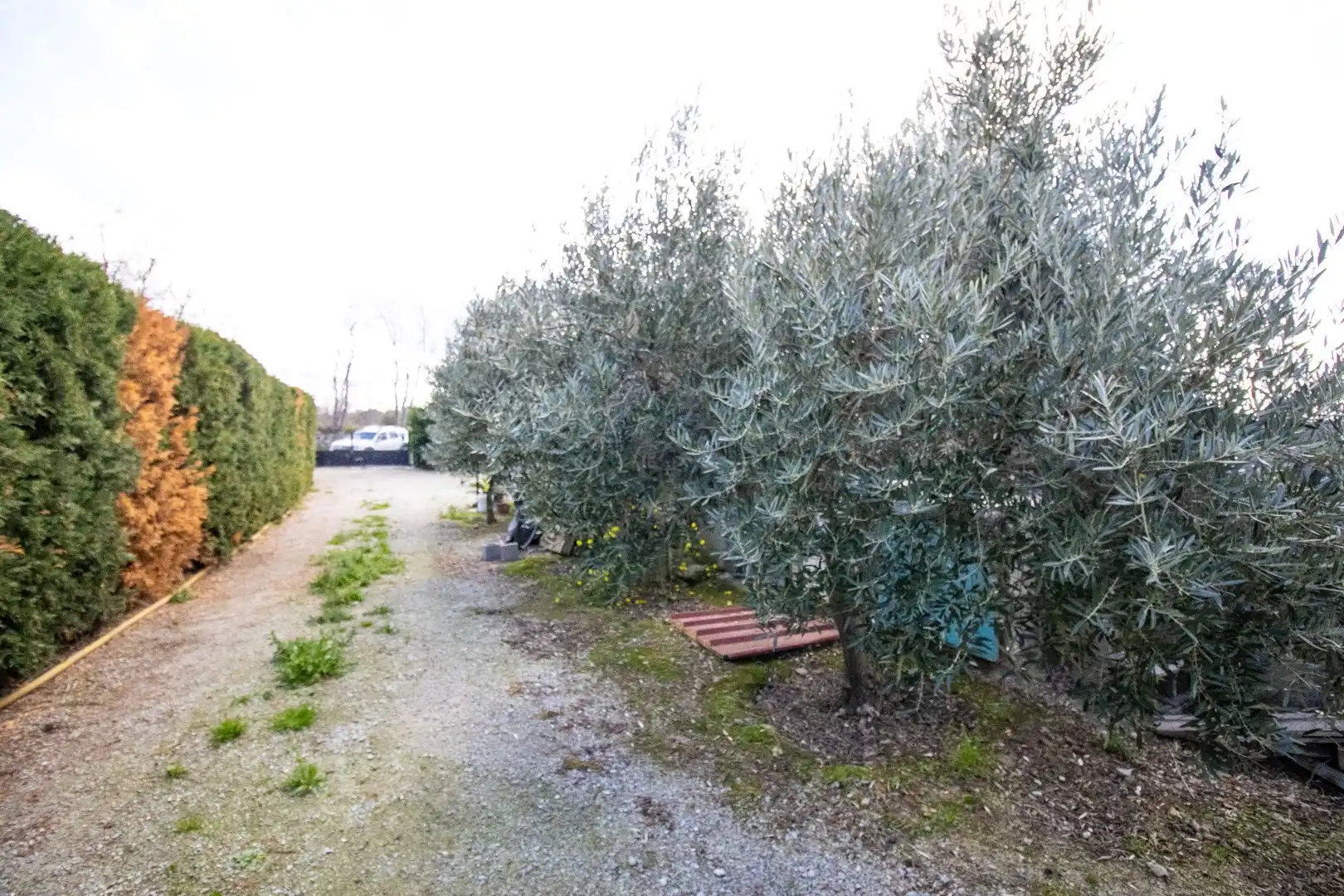 Terreno en venta en Sant Climent Sescebes