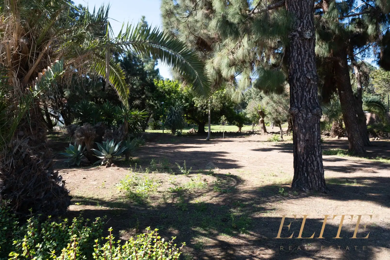 Jardí de Casa o xalet en venda en Valsequillo de Gran Canaria