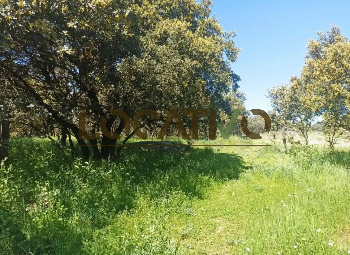 Terrenys i solars en venda a Las Zorreras - Monte Encinar, imagen 2