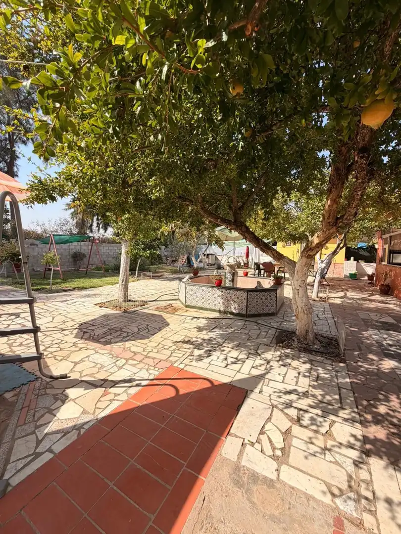 Casa amb piscina en venda a MATALLANA CALLE VIRGEN DEL ROCIO, imagen 24