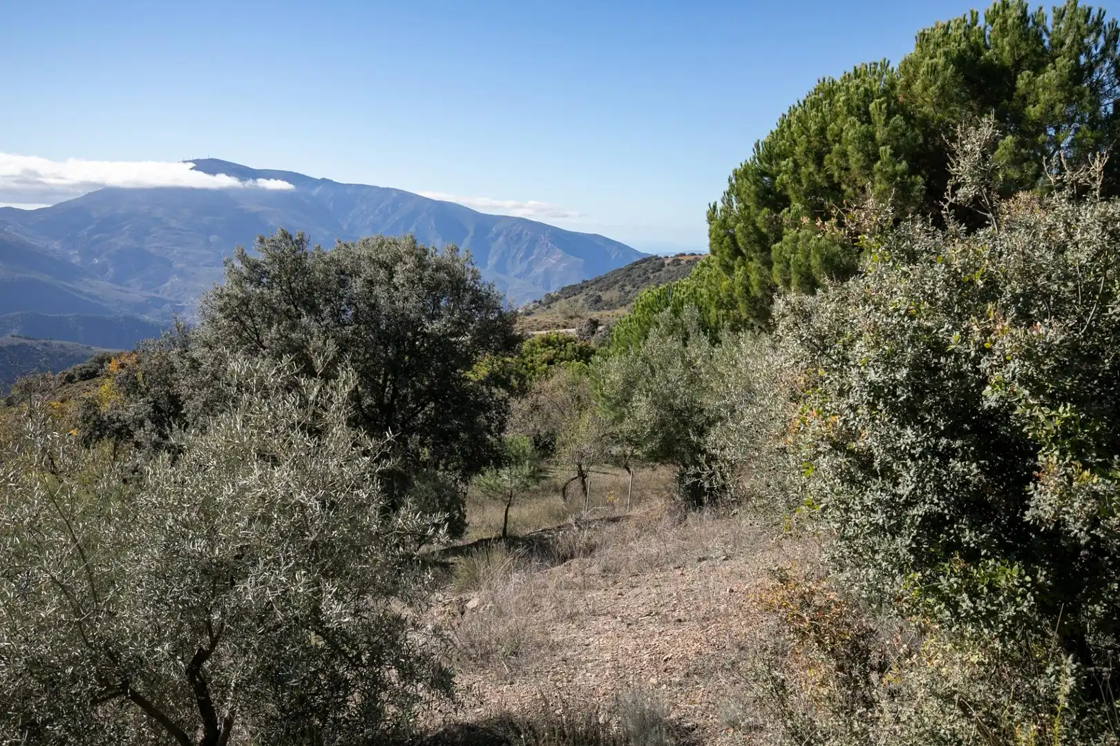 Finca rústica en venda en La Taha