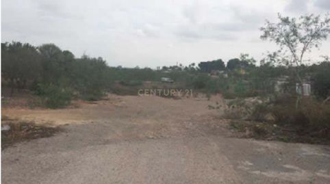 Venta de Finca Rústica en LugarTR CAMBRILLAS POLIGONO 27, PARCELA 88 Nº SN Cheste ValenciaValència, imagen 2