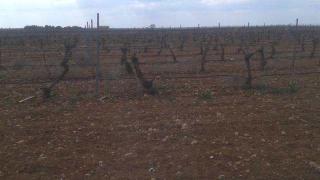 Terreno en Venta en N/A en Las Mesas