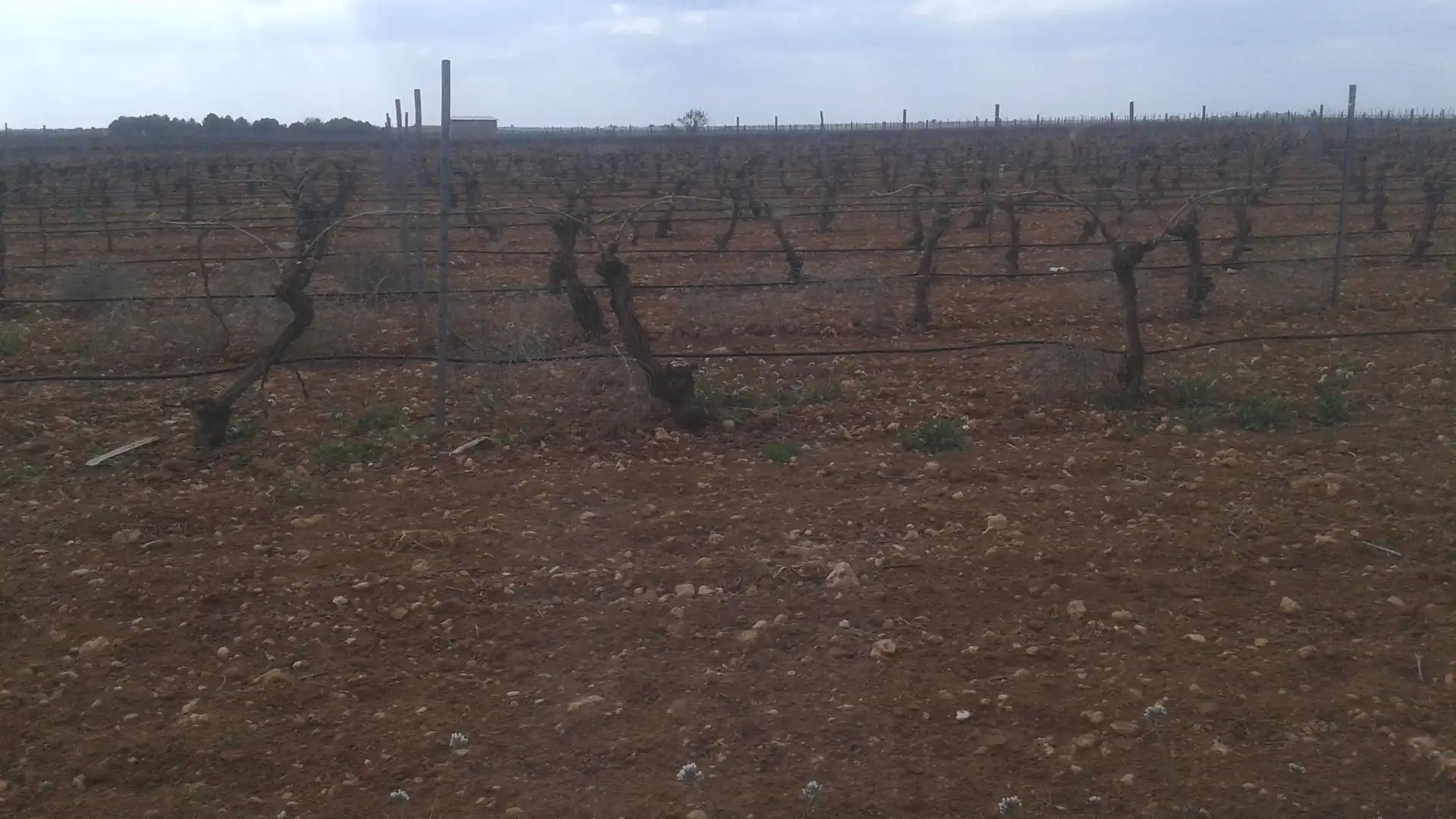 Terrenys i solars en venda a Las Mesas