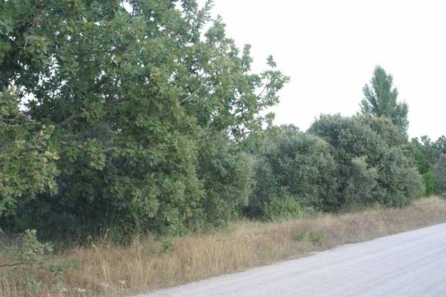 Terreno residencial en Venta en Fresno de Cantespino