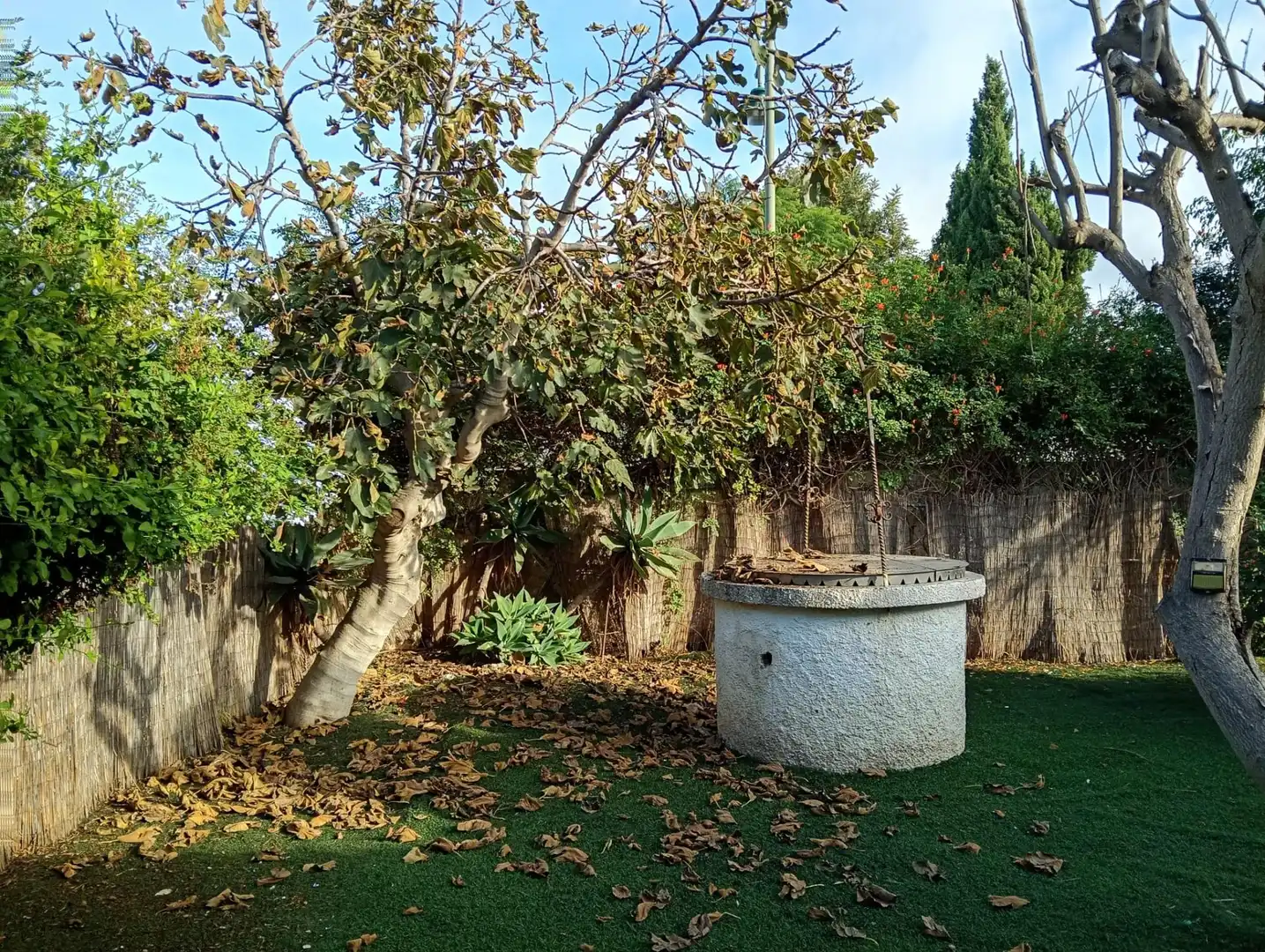 Jardín de Casa o chalet en venta en Churriana
