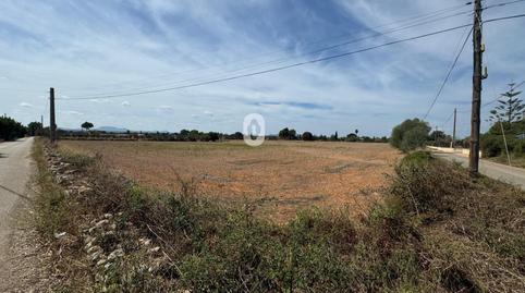 Foto 5 von Grundstücke zum Verkauf in Centro, Inca