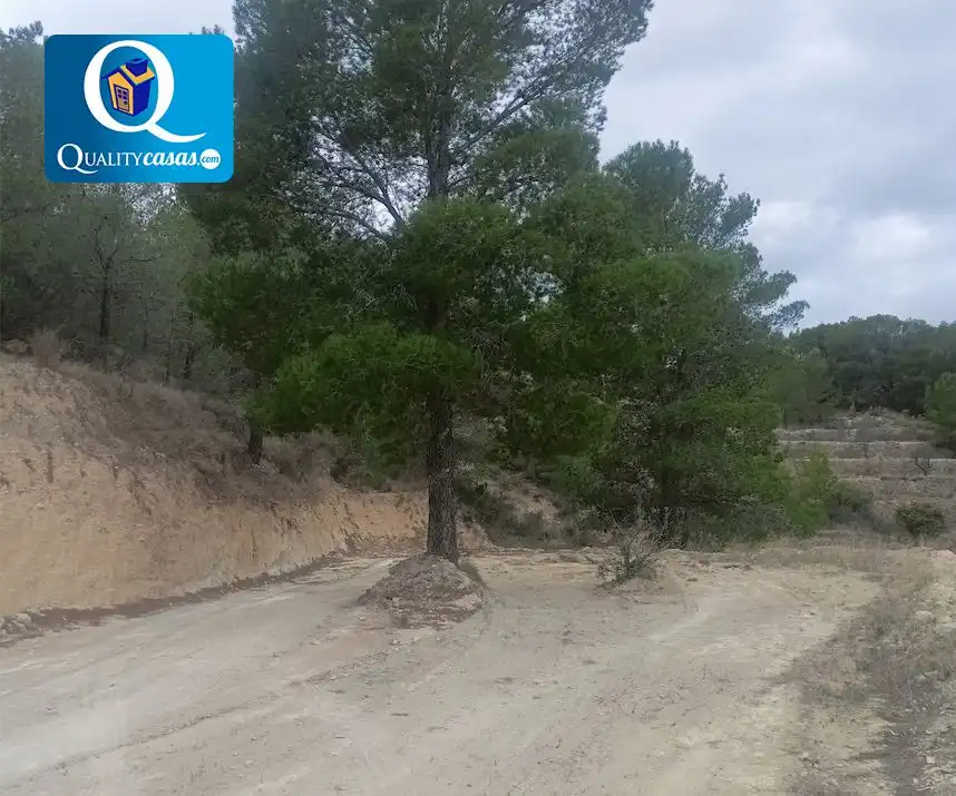 Terrenys i solars en venda a Torremanzanas / La Torre de les Maçanes, imagen 3