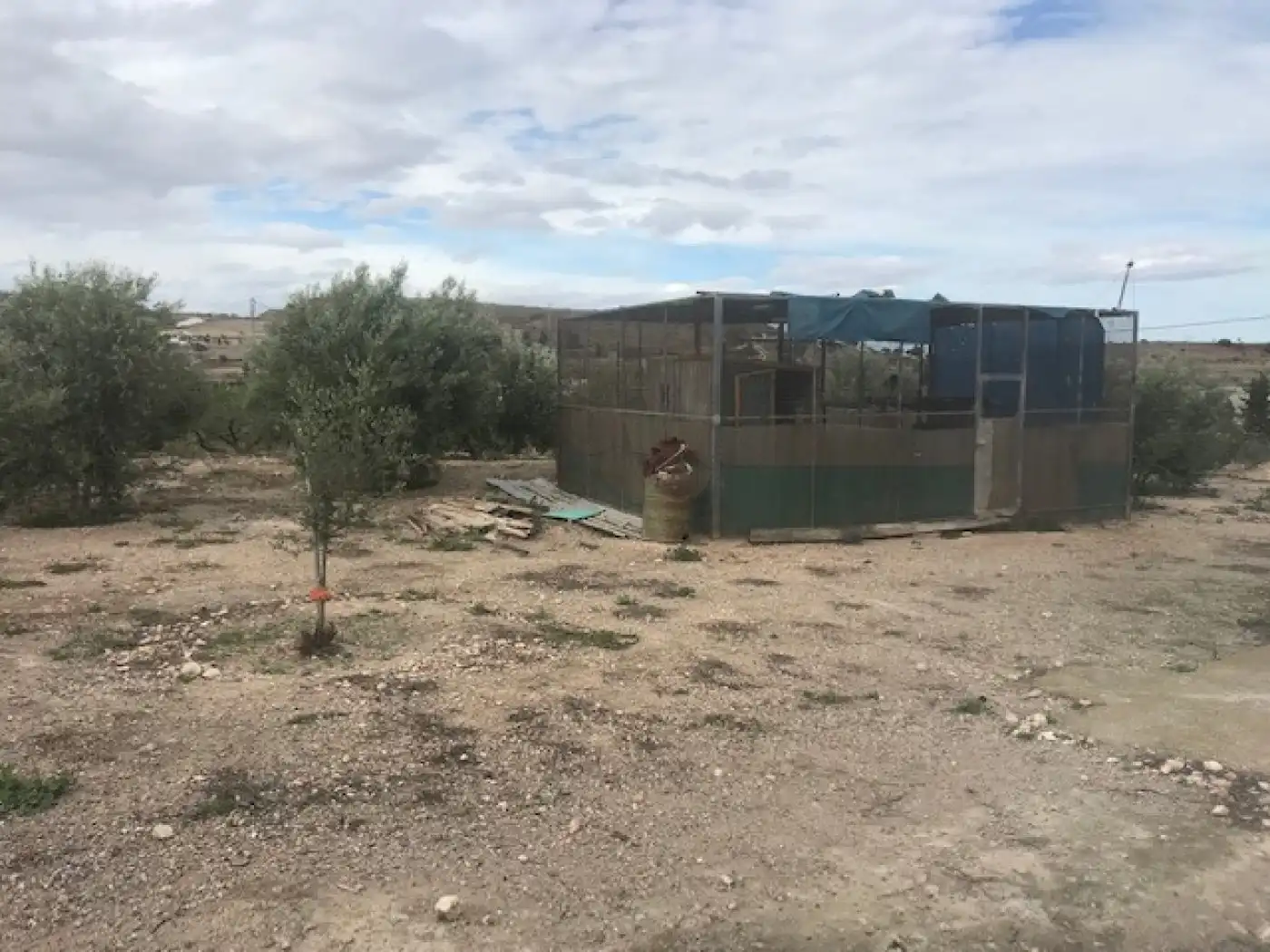 Finca rústica en venta en Cartagena
