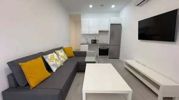 Sala d'estar de Apartament en venda en Madrid amb Aire condicionat, Calefacció i Moblat