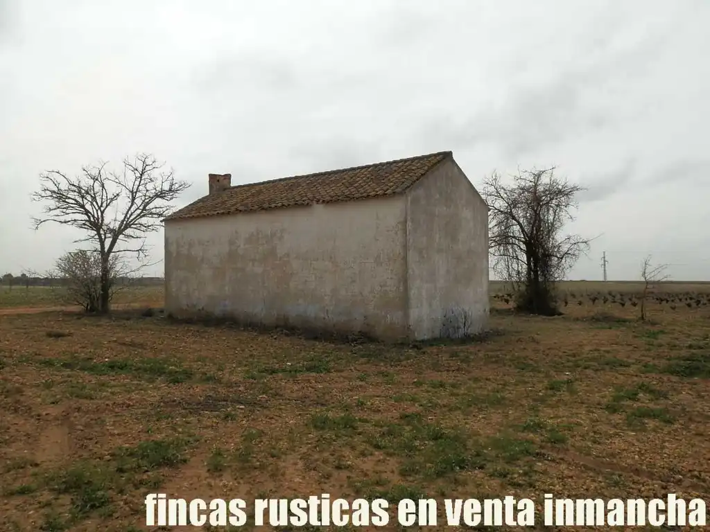Terreno rustico in vendita a Alcázar de San Juan, imagen 9