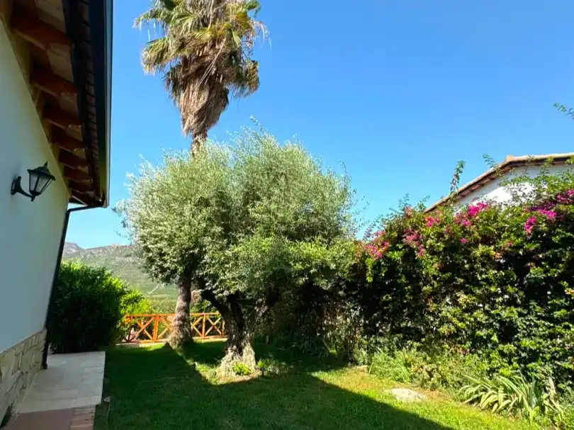 Jardín de Casa o chalet en venta en Carcaixent con Aire acondicionado, Jardín privado y Piscina