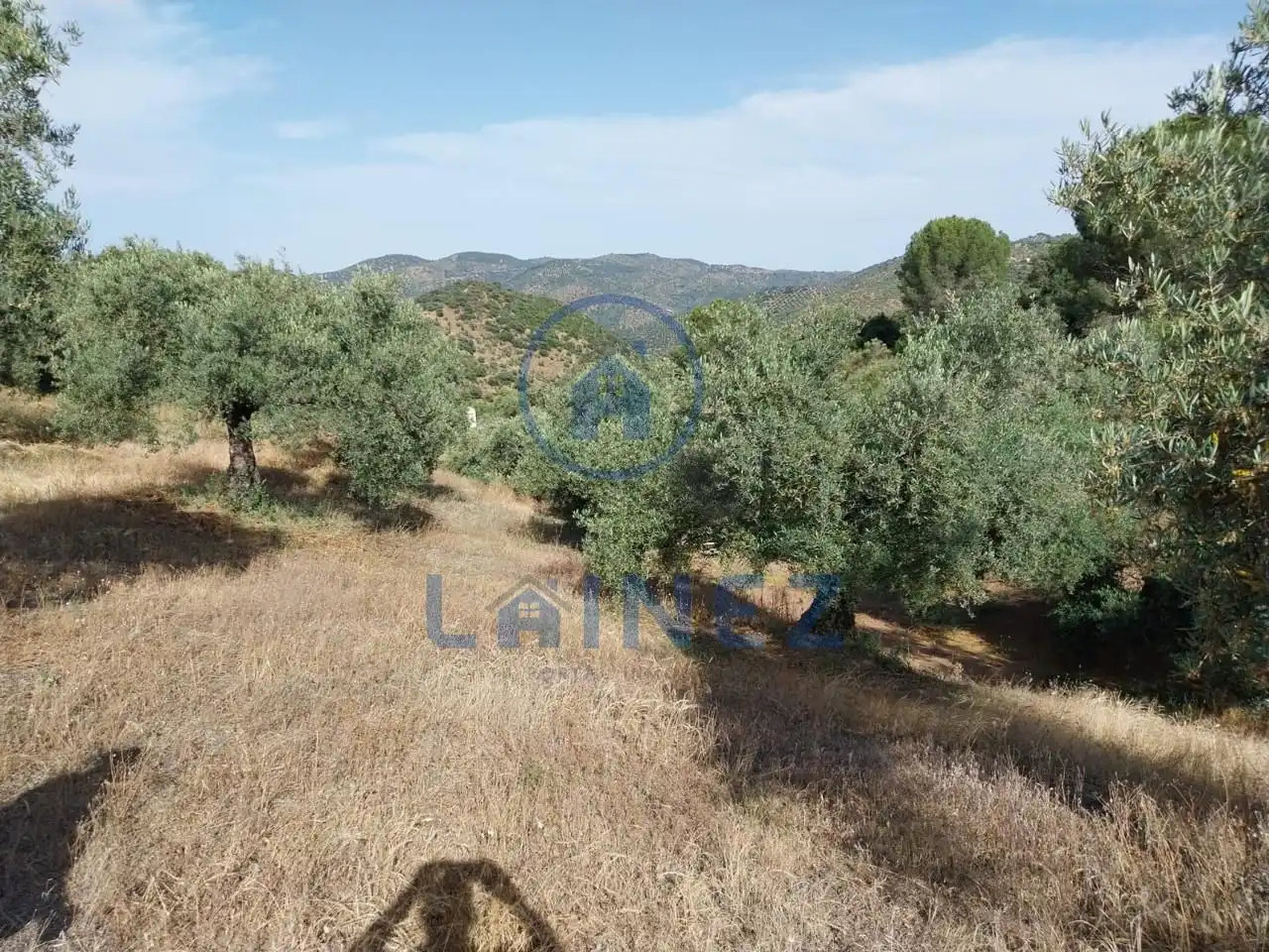 Grundstücke und Bauplätze zum Verkauf in Norte-Sierra, imagen 5