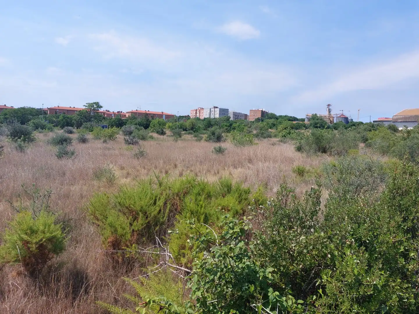 Fabrik Grundstücke zum Verkauf in Tarragona