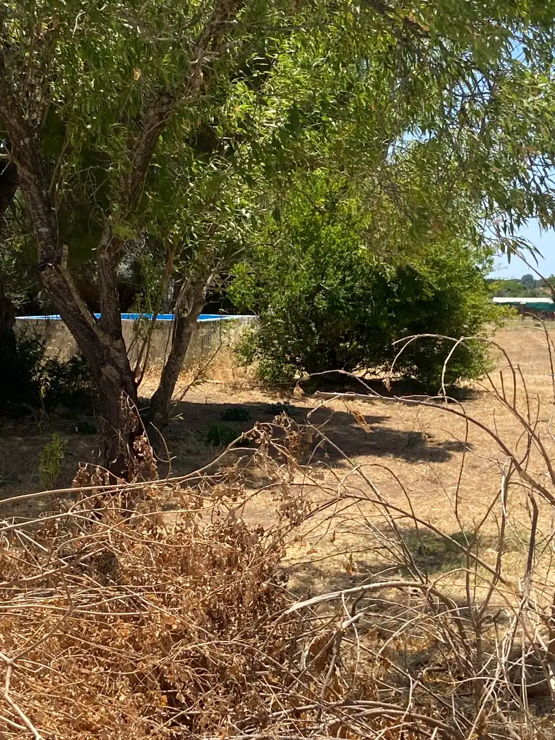 Casa o xalet en venda en Chiclana de la Frontera