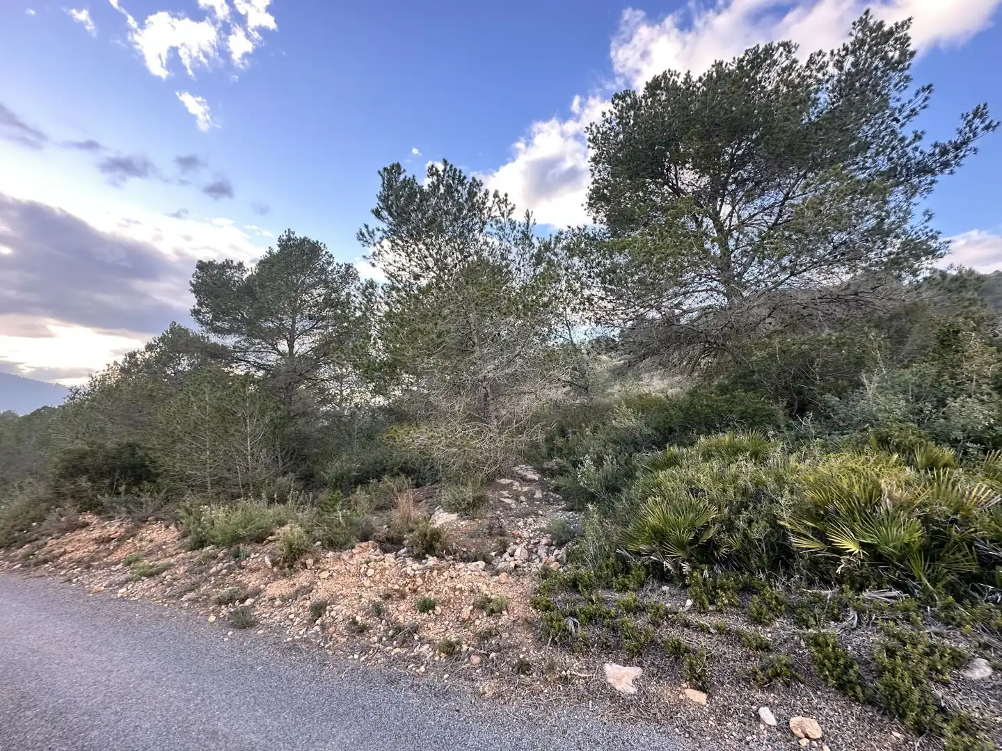 Terrenos y solares en venta en Alfara de la Baronia, imagen 15