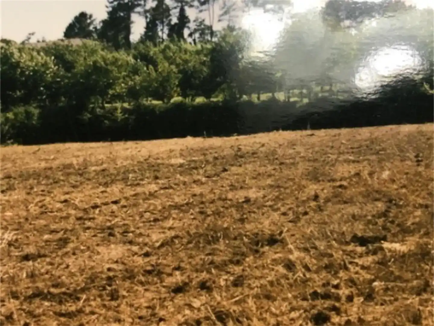 Finca rústica en venda en O Rosal  