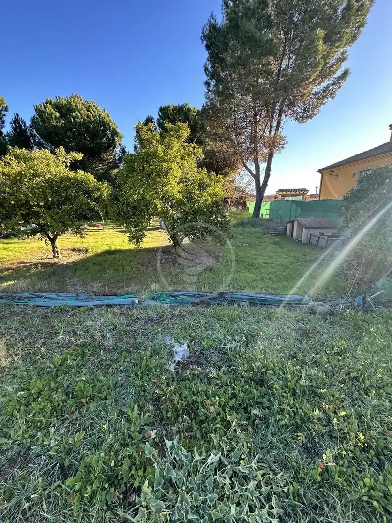 Terreni e lotti in vendita a Úbeda, imagen 6