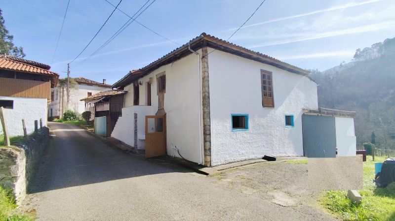 Exterior view of Country house for sale in Pravia