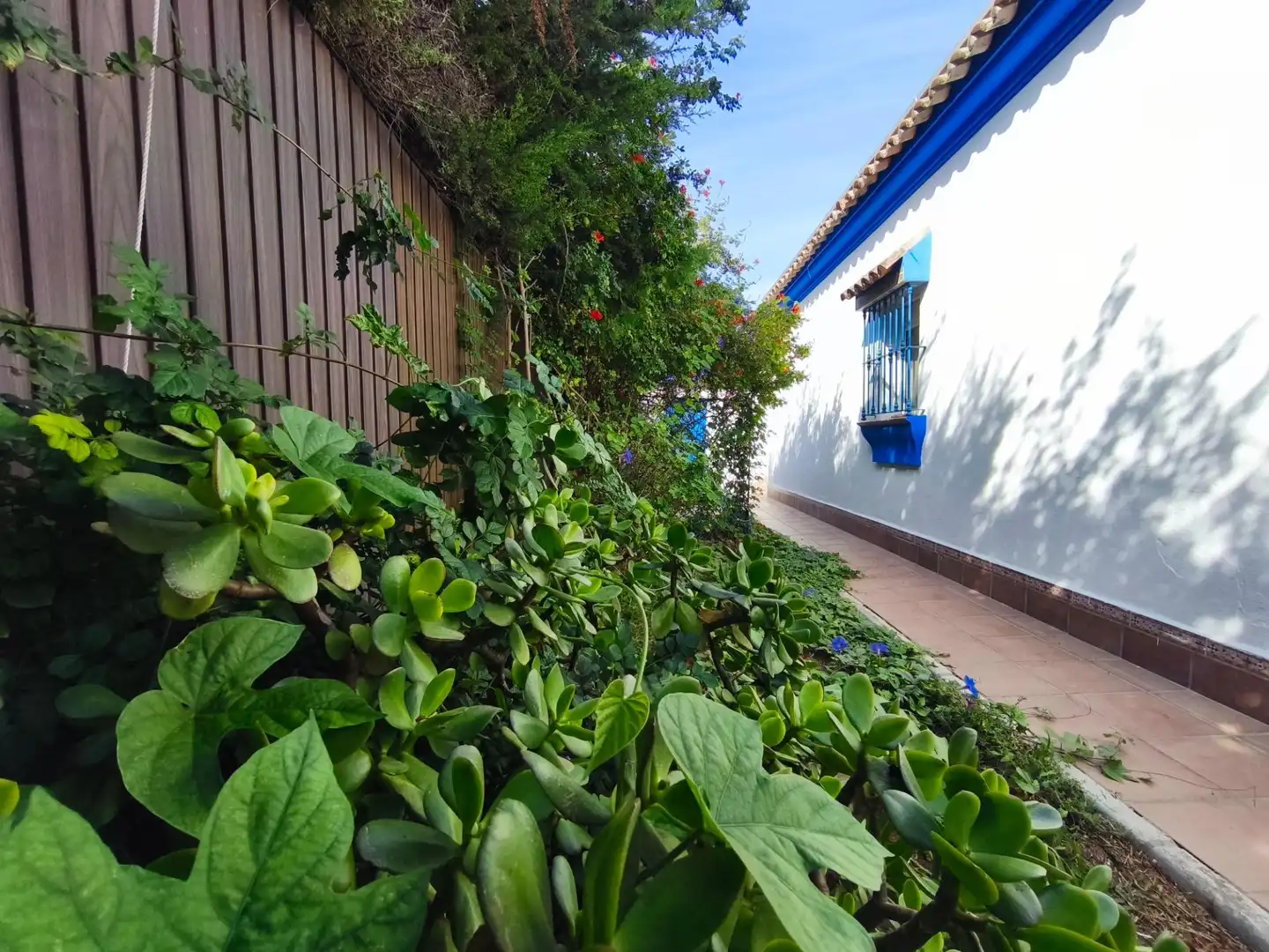 Jardí de Casa o xalet en venda en Los Franceses – La Vega