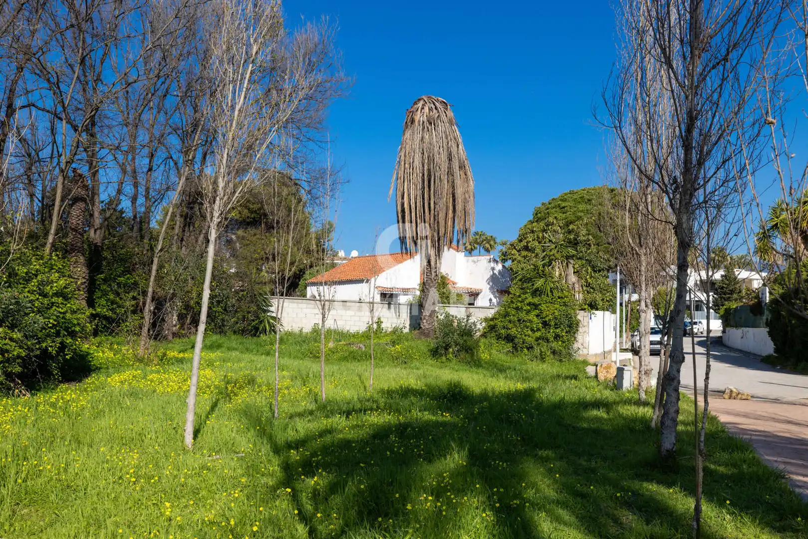 Jardín de Residencial en venta en Estepona