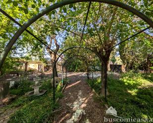 Garden of Country house for sale in Linares  with Private garden and Swimming Pool