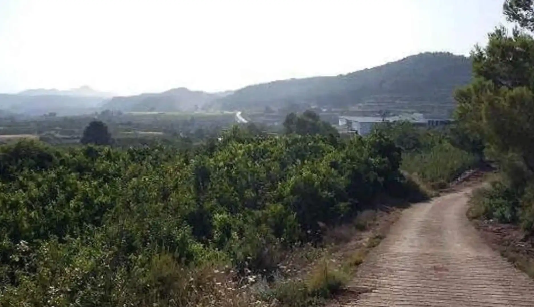 Terrenys i solars en venda a Estubeny