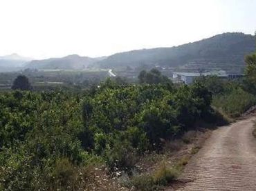 Terrenys i solars en venda a Estubeny