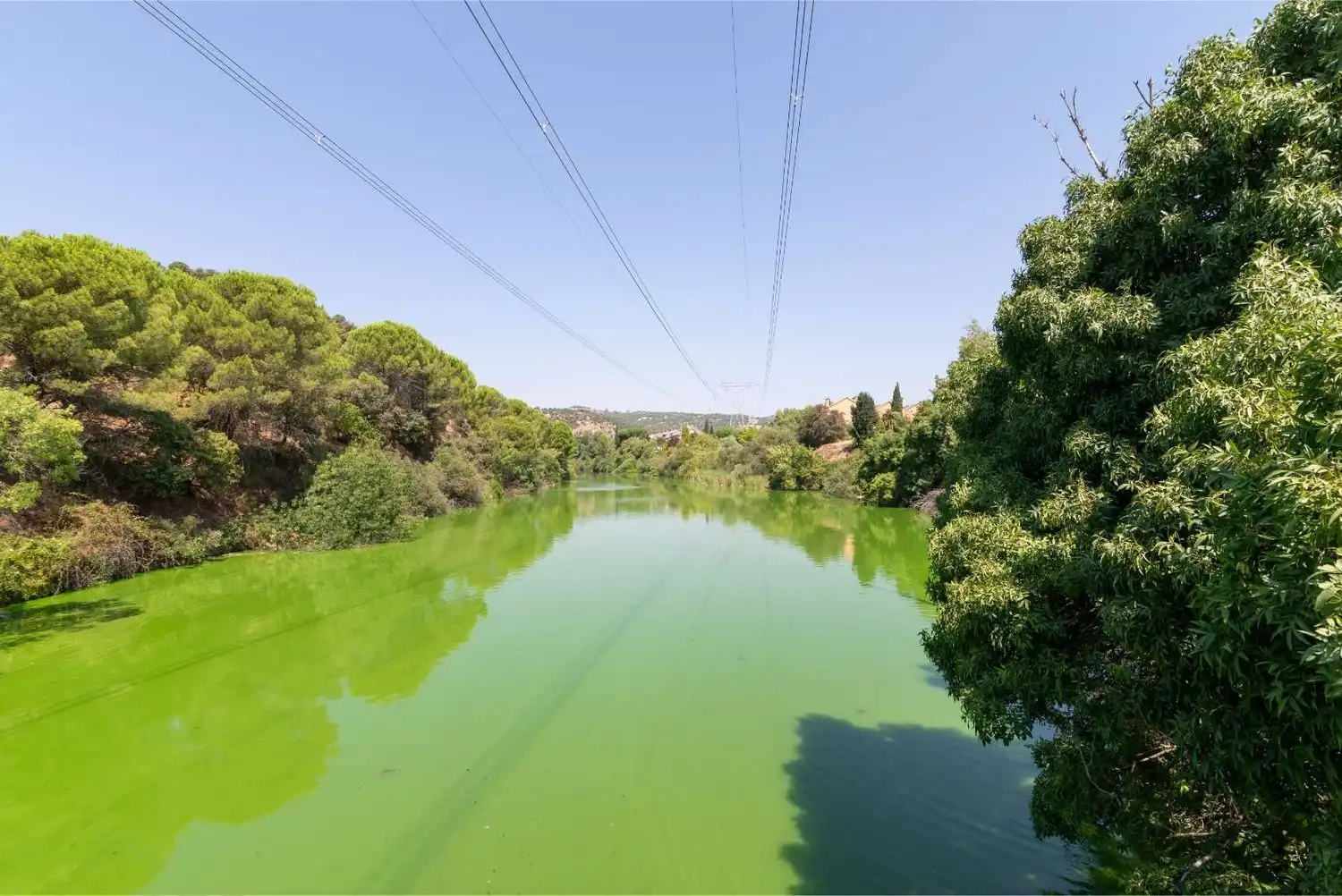 Chalet con piscina en venta en Molino de la Hoz, imagen 55