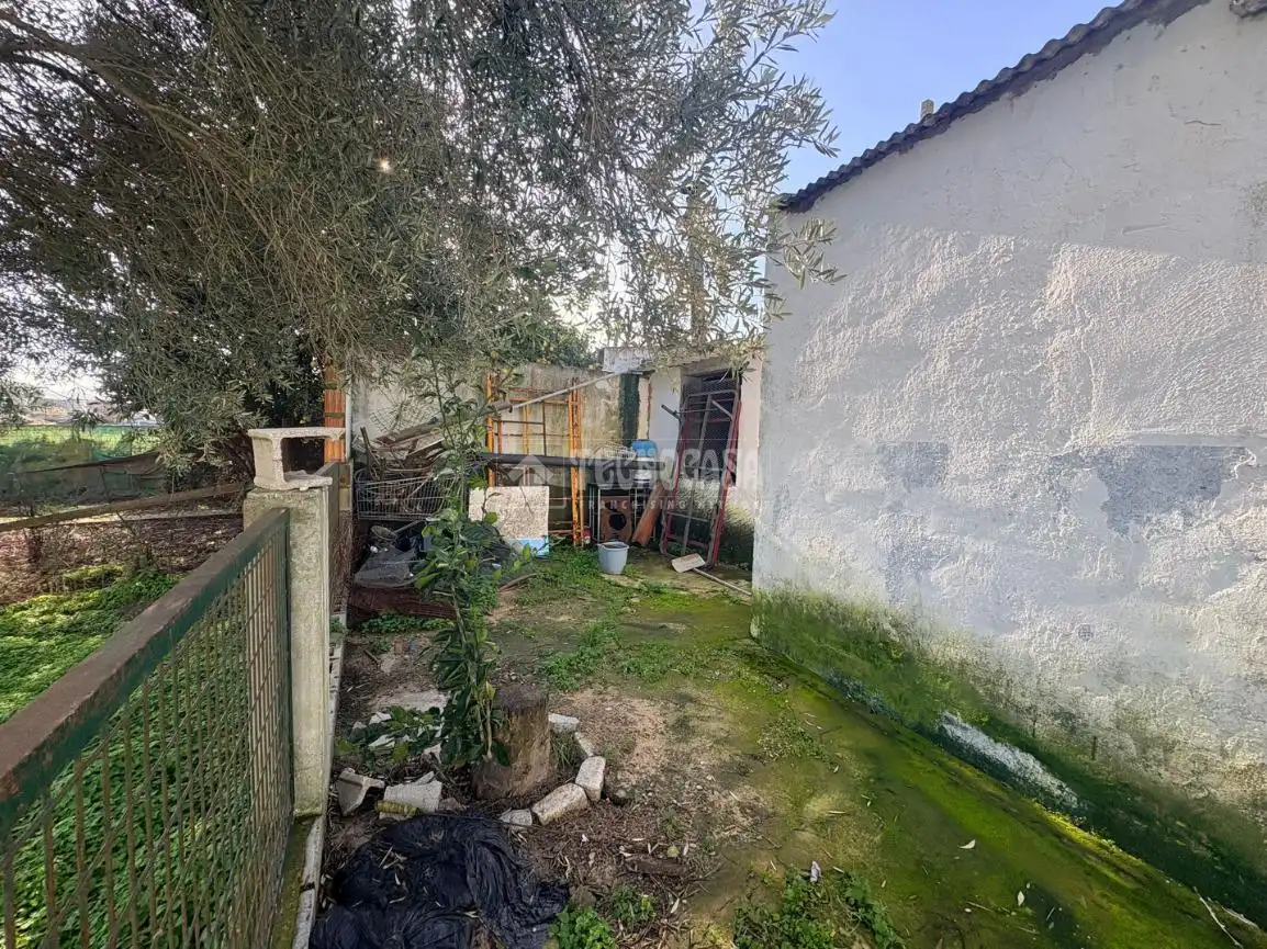 Finca rústica en venta en Barbate