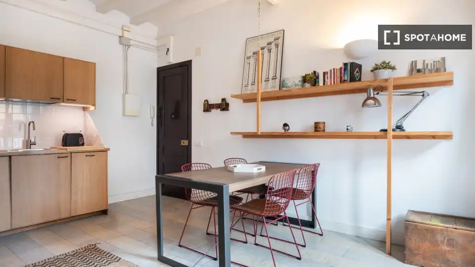 Menjador de Estudi per a compartir en Barcelona amb Aire condicionat, Terrassa i Moblat