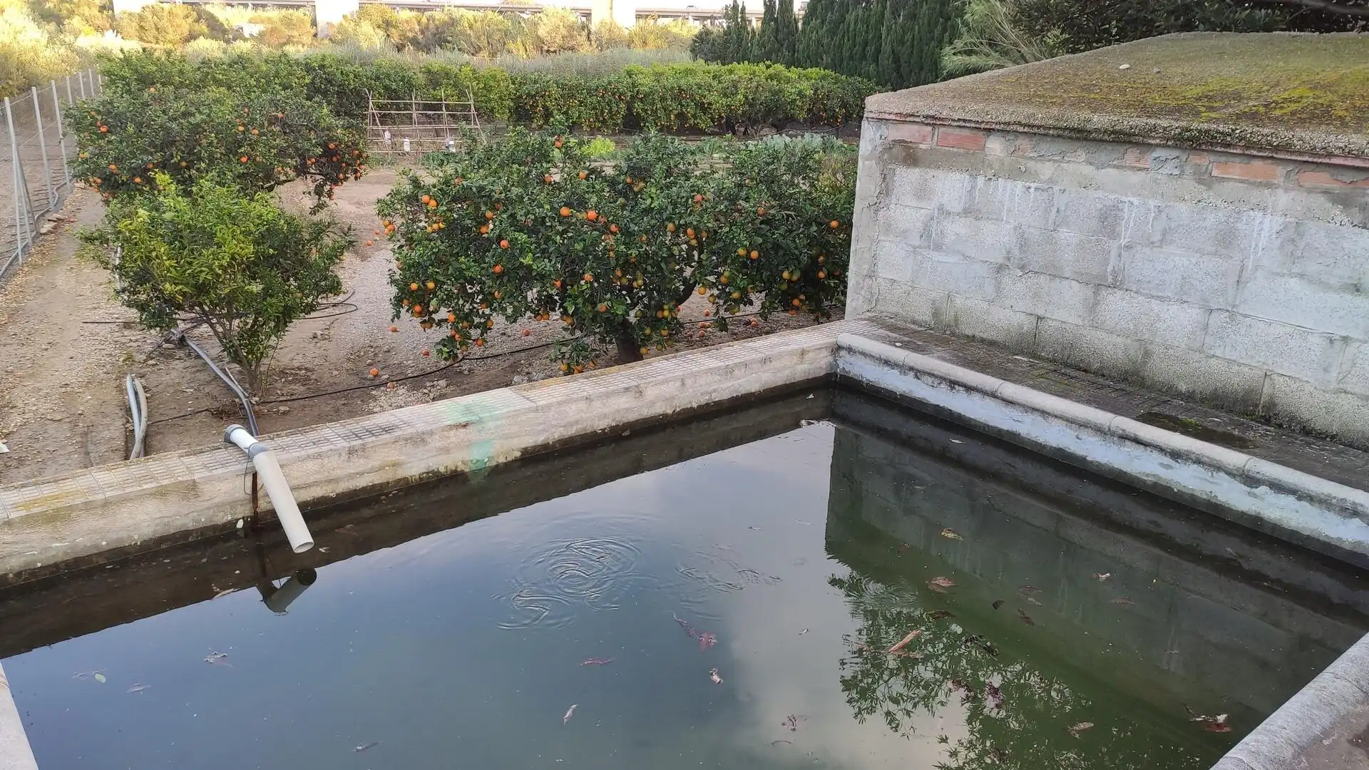 Piscina de Finca rústica en venta en Amposta