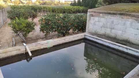 Foto 4 de Finca rústica en venta en Casc Antic, Amposta