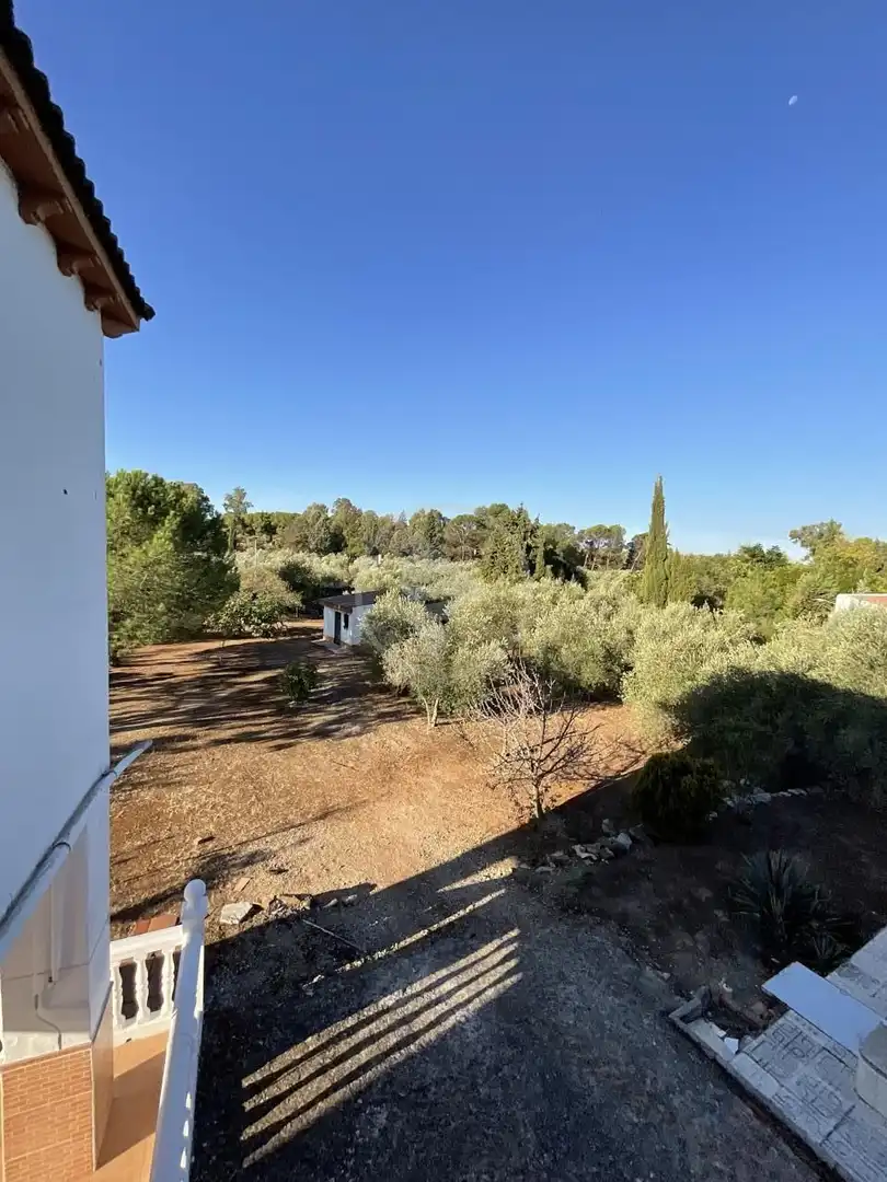 Jardín de Finca rústica en venta en Linares con Piscina