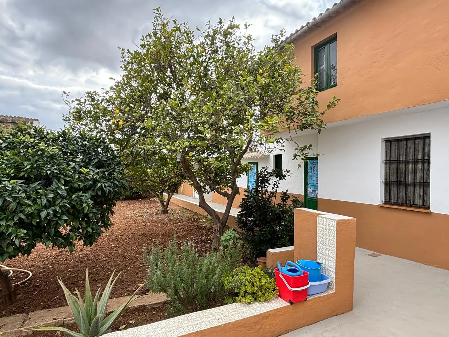 Vista exterior de Finca rústica en venta en Marratxí