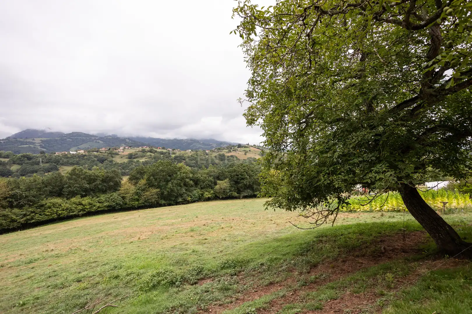 Maison à vendre à Sebares, Piloña, Asturias, Spain 28, imagen 71