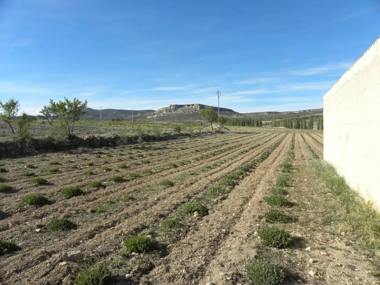 Casa rústica amb jardí en venda a Calle Casa Puero, imagen 5