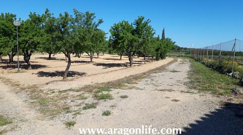 Photo 5 of Country house for sale in Disseminat, 7, Vilalba dels Arcs, Tarragona