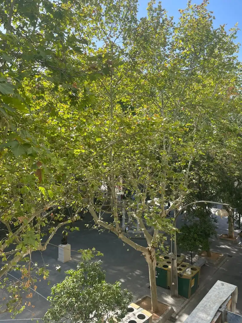 Garden of Apartments for rent in Córdoba  with Air Conditioner, Heating and Furnished