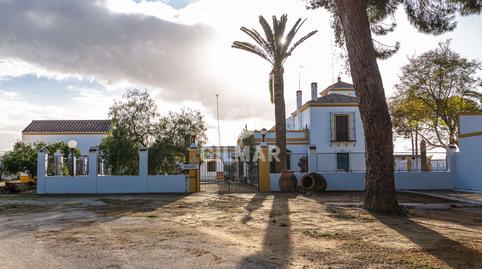 Photo 3 of Houses for sale in Marchena, Sevilla