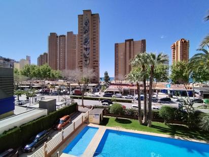 Vista exterior de Apartament en venda en Benidorm amb Jardí privat, Terrassa i Piscina comunitària