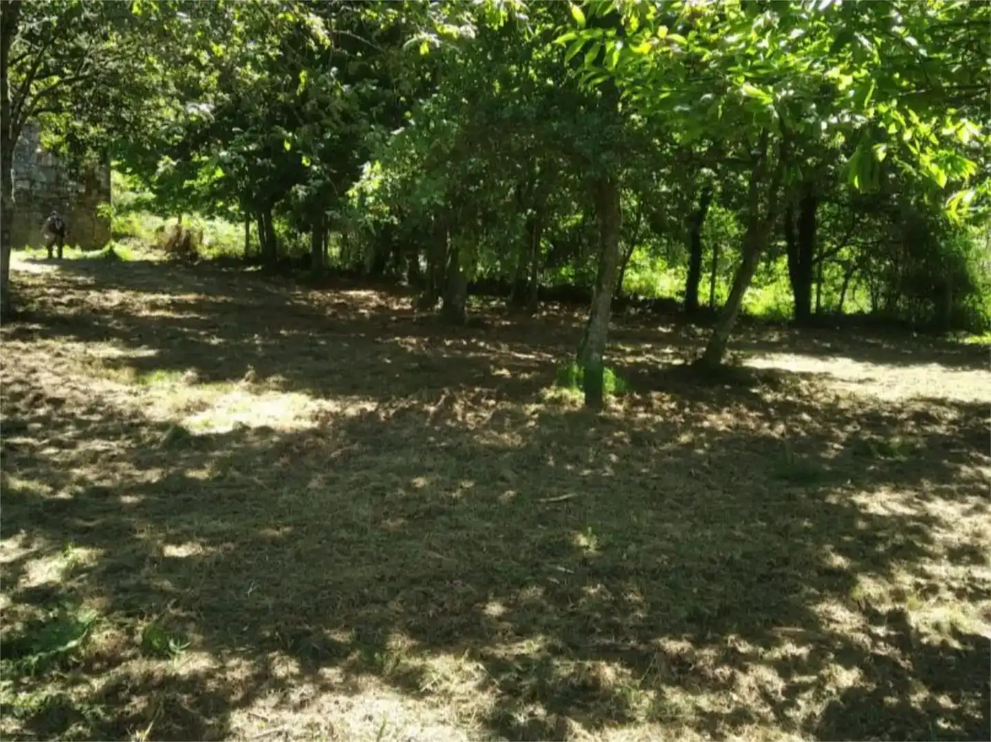 Pis en venda en Cerdedo